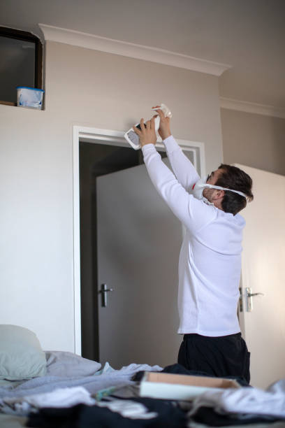 Best Commercial Mold Inspection  in Pearl Beach, MI