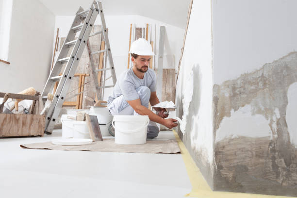 Pearl Beach, MI Mold Removal Company