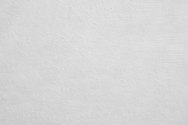 Best Emergency Mold Remediation  in Pearl Beach, MI
