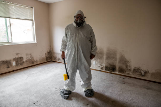 Best Crawl Space Mold Remediation  in Pearl Beach, MI