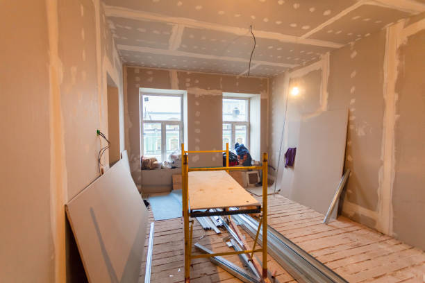 Best Basement Mold Removal  in Pearl Beach, MI