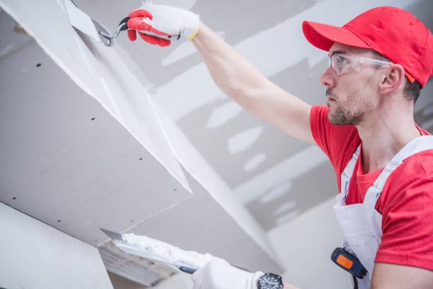 Best Mold Remediation for Healthcare Facilities  in Pearl Beach, MI