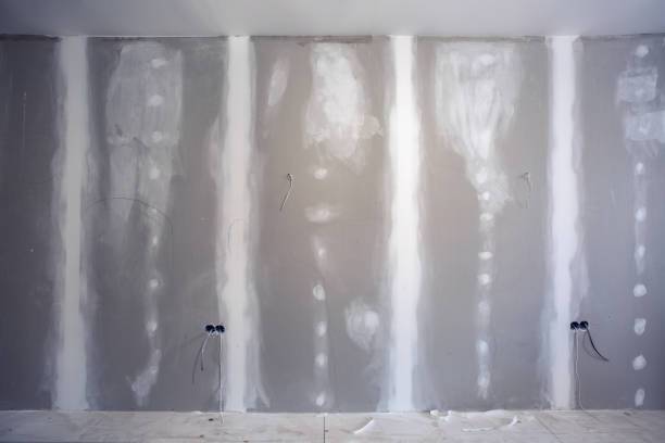 Best HVAC Mold Inspection and Cleaning  in Pearl Beach, MI
